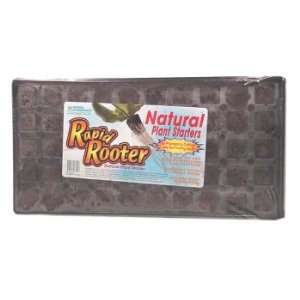  Rapid Rooter