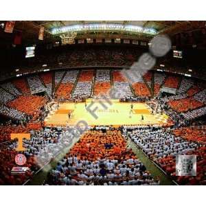 Thompson Bolling Arena   Univer. of Tennessee Finest LAMINATED Print 