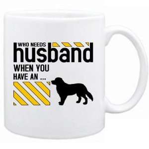   Husband When You Have A American Brittany  Mug Dog