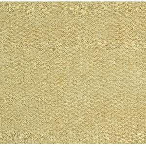  2139 Broderick in Eggshell by Pindler Fabric