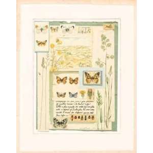  Study Of Butterflies by Horner Brooks. Size 16 inches 