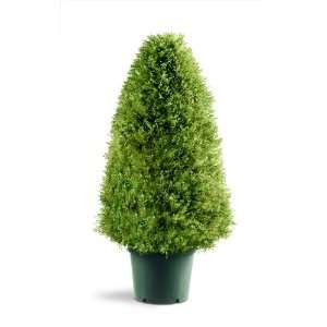 National Tree Upright Juniper Tree with Green Round Plastic Pot, 30 