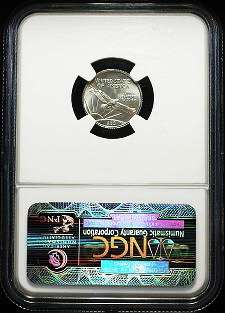   10th Ounce American Platinum Eagle NGC MS 70 MS70 70 Perfect Grade 70