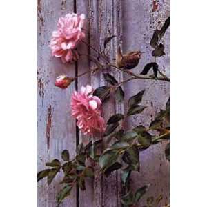 Carl Brenders   Summer Roses Winter Wren Canvas Giclee  