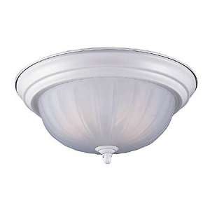  Sea Gull Lighting   7505 15   Close To Ceiling Two Light 