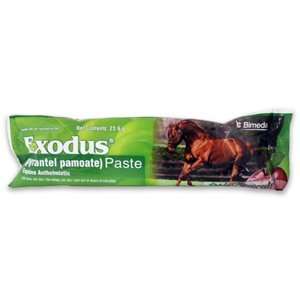  Exodus Paste   Apple Flavor 23.6 gm Syringe
