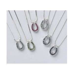  AWST Horseshoe Rhinestone Necklace