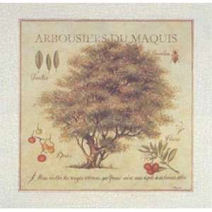  Arbousiers de Maquis by Pascal Cessou 28x28 Health 