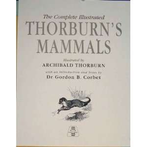  THORBURNS MAMMALS COLOR OLD ANIMAL PRINTS c1936 ART