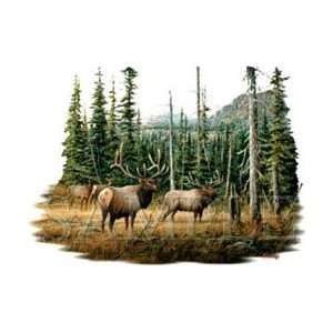  T shirts Animals Wildlife Deer Bull Elk XXL Everything 