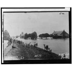   Moreauville,Louisiana,LA,Bayou des Glaises,1927 Flood