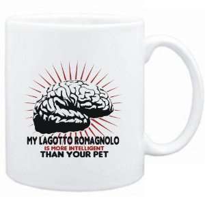   Lagotto Romagnolo IS MORE INTELLIGENT THAN YOUR PET   Dogs Sports