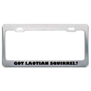Got Laotian Squirrel? Animals Pets Metal License Plate Frame Holder 