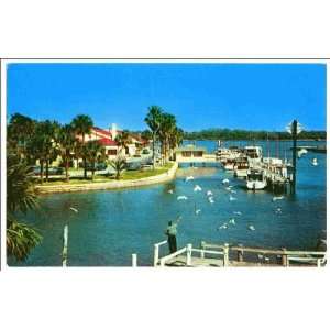  Reprint Florida homes on the waterfront