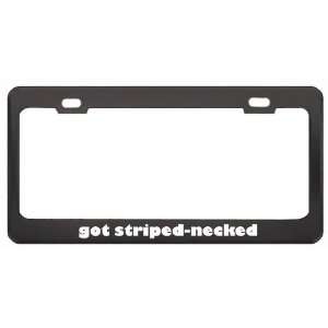 Got Striped Necked Mongoose? Animals Pets Black Metal License Plate 
