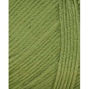  Bouton dOr Bargains New Bamboo Yarn 1023 Vigne Arts 