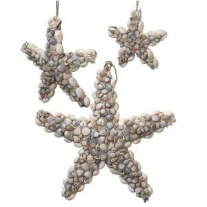  Sea Shell Stars Wall Decor Ornaments Set of 3