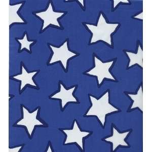  Blue Stars Tissue Wrapping Paper 10 Sheets Everything 