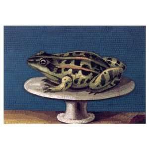  Frog on a Plate, Frogs & Toads Note Card, 7x5