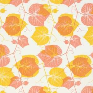  Ty Pennington Impressions Fall 2011 Ivy Orange Fabric 