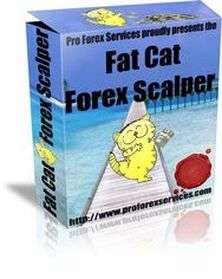 Fat Cat Forex Scalper + free bonus (ORIGINAL, SUPERB)  