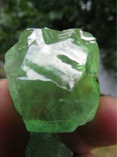 This listing is for 1 pound Lots of Deep Green and Clear Mexican 