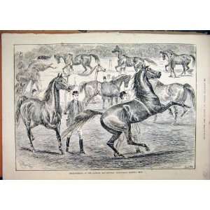  Improvement Show 1887 Horses Leading 