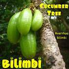 LIVE BiLiMBi SEEDS Exotic PICKLE FRUIT Cucumber Tree SEEDLING Averrhoa 