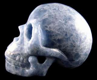 This beautiuful Life Size Blue Calcite Crystal Skull measures 7.75 