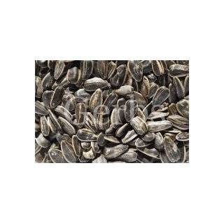 Roasted Unsalted Sunflower Seeds, 2 Lbs Grocery & Gourmet Food