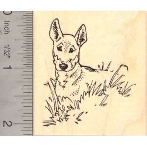  Australian Dingo Rubber Stamp Warrigal Arts, Crafts 