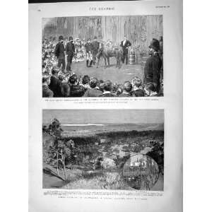  1892 Lord Mayor Guildhall Sheep Farming Australia