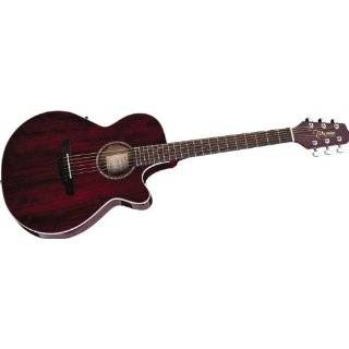  New Yorker Acoustic Electric Guitar, Natural Musical Instruments