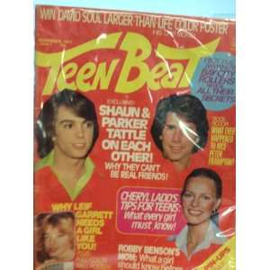    TEEN BEAT MAGAZINE   NOVEMBER 1977 ISSUE  TEEN BEAT Books