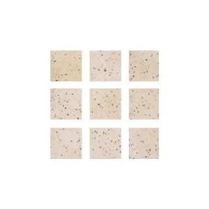  Flagstone 6 1/4 x 6 1/4 Mosaic Ceramic Floor Tile in 