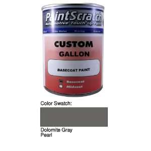  1 Gallon Can of Dolomite Gray Pearl Touch Up Paint for 