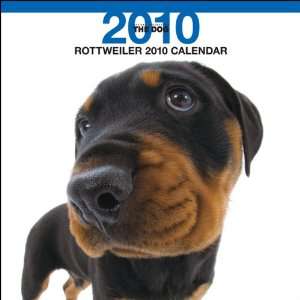  Rottweiler 2010 Square Wall ARTLIST (The Dog 