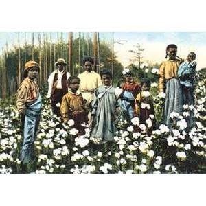  Vintage Art Portrait of Cotton Field Workers   07461 2 