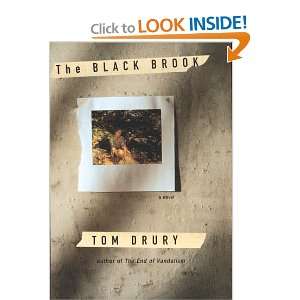  The Black Brook (9780395701942) Tom Drury Books