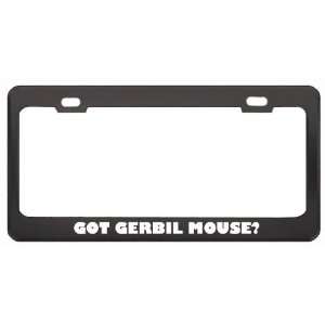 Got Gerbil Mouse? Animals Pets Black Metal License Plate Frame Holder 