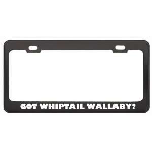 Got Whiptail Wallaby? Animals Pets Black Metal License Plate Frame 
