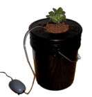 Black Bucket Deep Water Hydroponic Grow System Bubbler