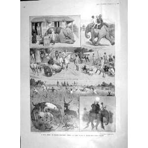 1906 FOX HUNTING INDIA ELEPHANTS ELLEN TERRY CONNAUGHT 