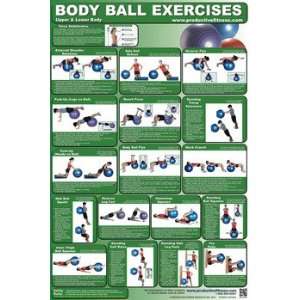  Body Ball Exercises   Upper Body and Lower Body Health 