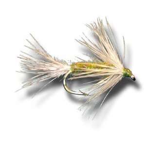  Emerger Pale Morning Dun Fly Fishing Fly Sports 
