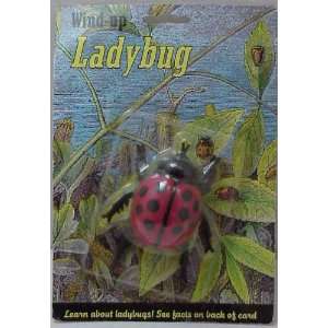  Wind up Ladybug Toys & Games