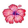 Hibiscus Temporary Tattoo small size  