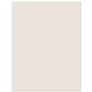  The Paper Company Spectrum Cardstock neutral gray