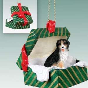  Bernese Mtn Dog Gift Box