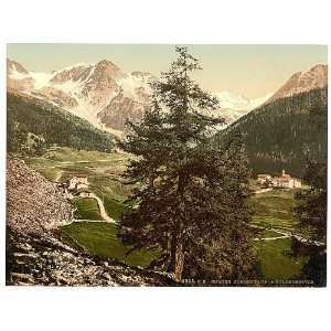   Sulden,Schontaufspitze,Suldenspitze,Tyrol,Italy,1890s